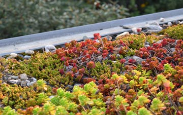 the cost of Cripplesease green roof installation