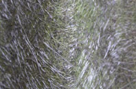 Cripplesease fibreglass roof work